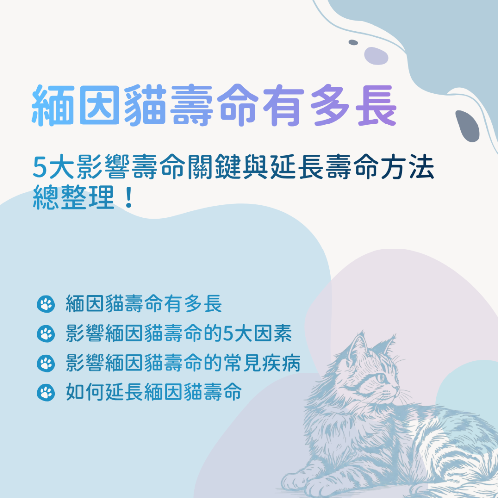 s-blob-v1-IMAGE-KddjaeJP_F8