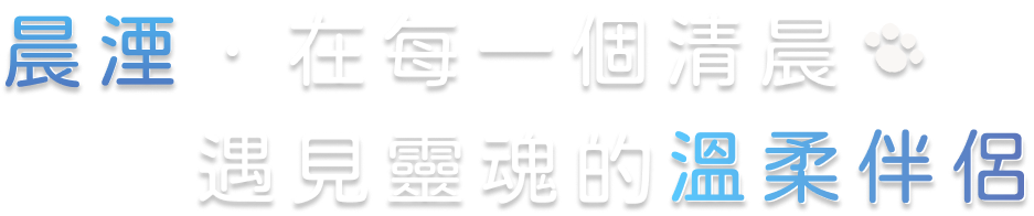 晨湮．在每一個清晨，遇見靈魂的溫柔伴侶