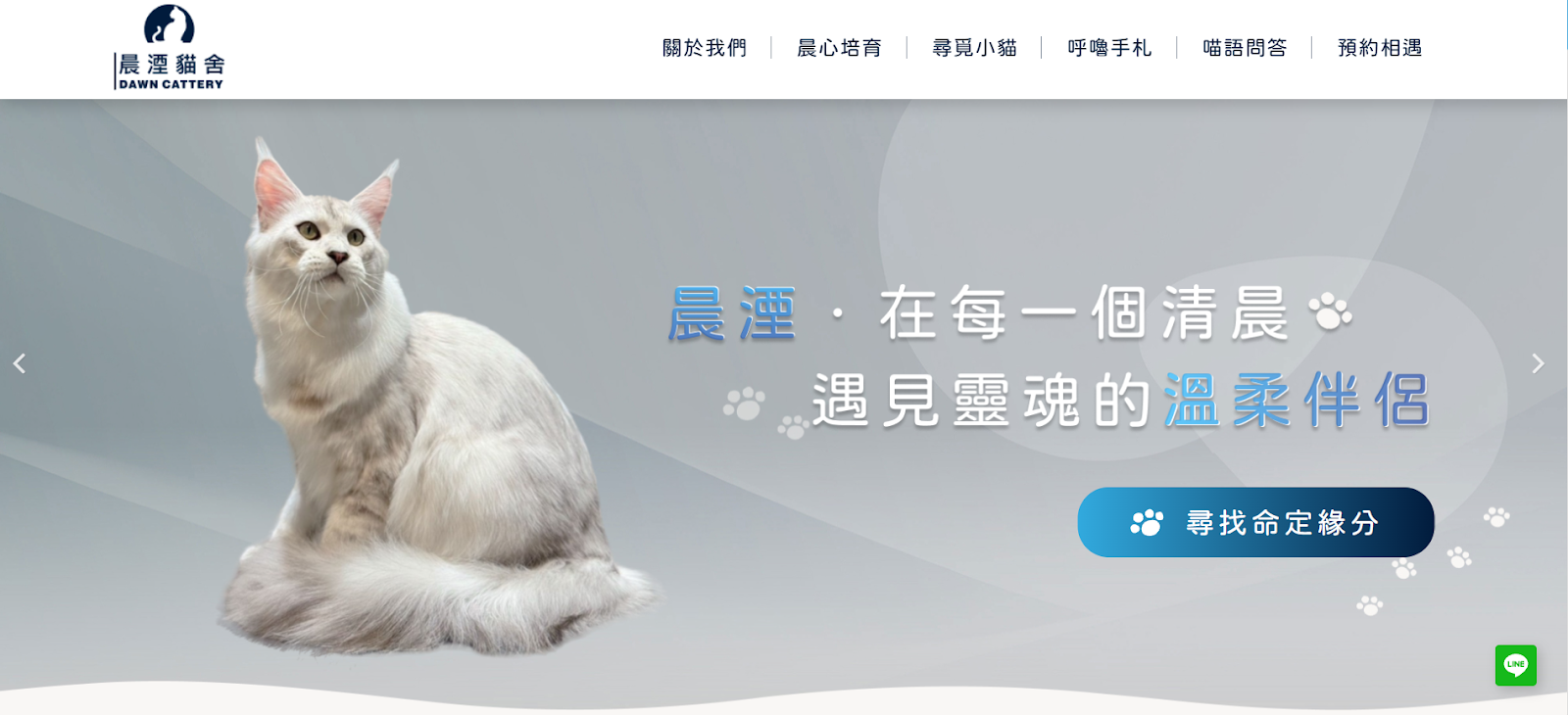 屏東貓舍推薦晨湮貓舍