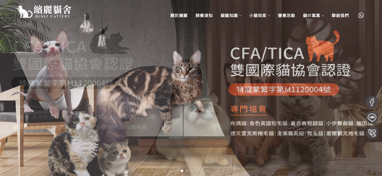 屏東貓舍推薦繽麗貓舍