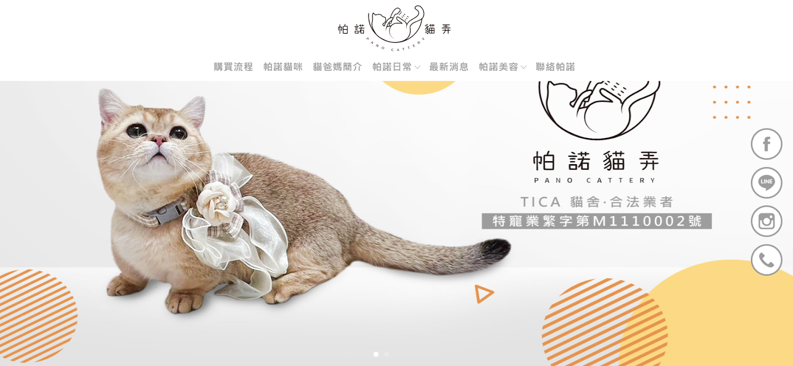 屏東貓舍推薦帕諾貓弄