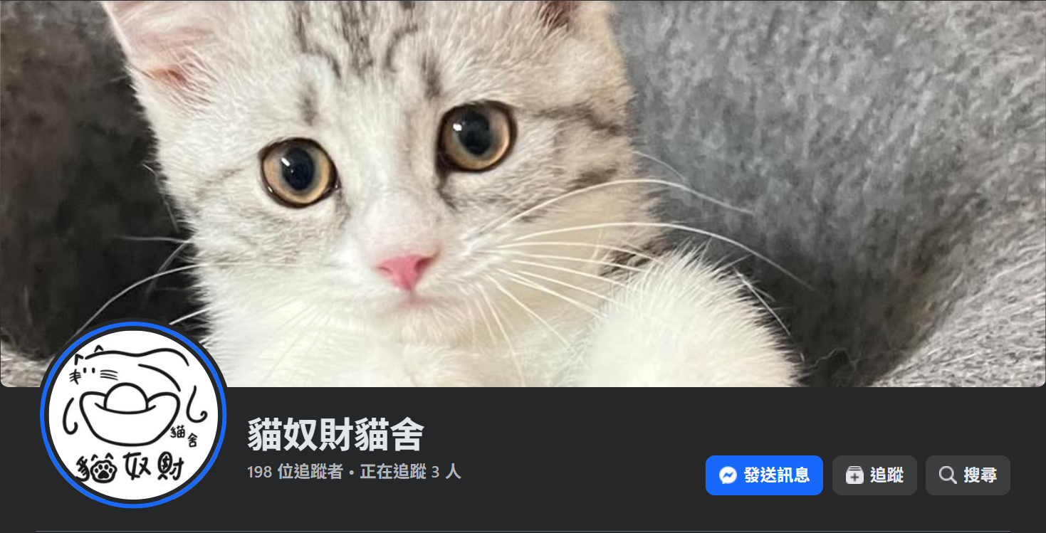 屏東貓舍推薦貓奴財貓舍