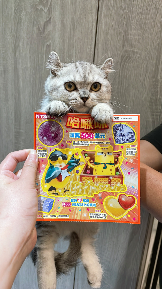 捲耳曼赤肯弟弟